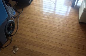 Wood Floor Refinishing